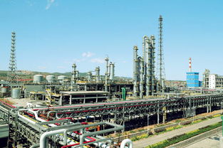 現代精細化工引領轉型 山西潞寶集團的創新發展之路